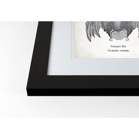 Vampire Bat Halloween Print in Black Frame